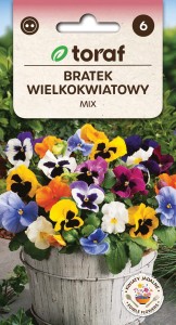 Bratek wielkokwiatowy mix 0,2g (Viola wittrockiana fl.pl.)