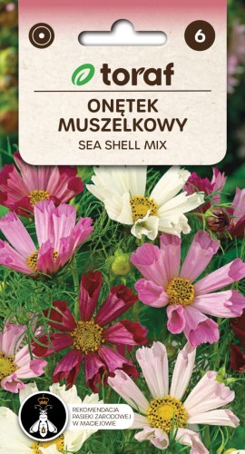 NEW-LOGO-Onetek-muszelkowy-SEA-SHELL-MIX-1-768x1419.jpg