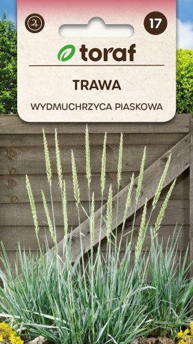 NEW-LOGO-Trawa-WYDMUCHRZYCA-PIASKOWA.jpg