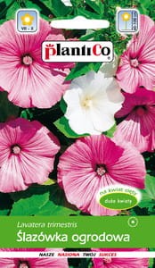 Ślazówka mix 1g (Lavatera trimestris) nasiona    