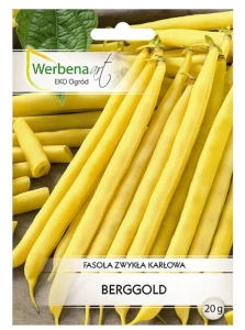 Fasola szparagowa karłowa wczesna Berggold 20g 