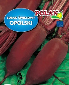 Burak ćwikłowy Opolski 20g nasiona 