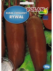 Burak ćwikłowy Rywal 20g 