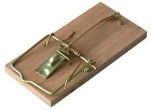 Łapka na myszy 2szt