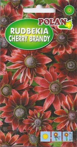 Rudbekia Cherry Brandy  0,1g  (Rudbeckia hirta) nasiona 