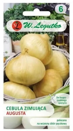 cebula_zimuj_ca_augusta_2g_legutko.jpg