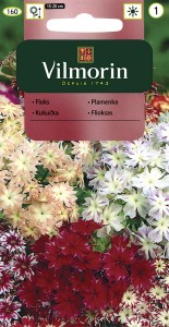 Floks gwiażdzisty 0,5g (Phlox drummondi) nasiona 