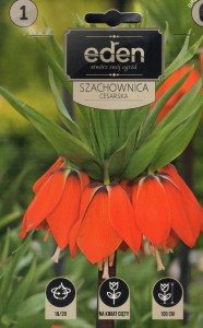 Szachownica cesarska Fritillaria imperialis Red 18/20 1szt kapers