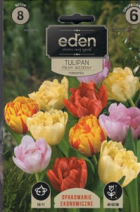Tulipan pełny wczesny mix 10/11 8szt    kapers            