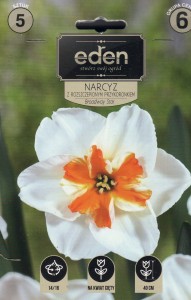 Narcyz Brodway Star 14/15 5szt kapers