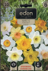 Narcyz pojedynczy mix 10/12 10szt  kapers  