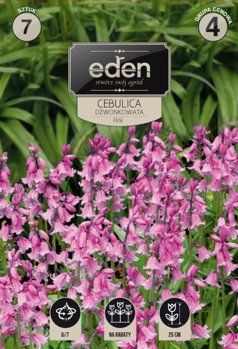 Cebulica dzwonkowata rozowa-VIL-108-17-EDEN-kapers-1.jpg