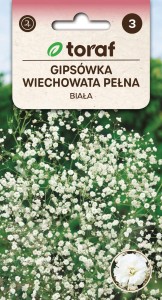 Gipsówka wiechowata pełna 0,5g  (Gypsophila paniculata)