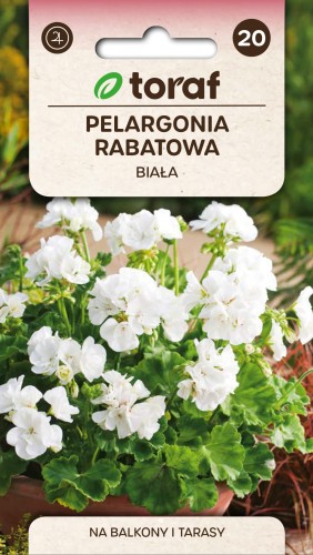 NEW-LOGO-Pelargonia-rabatowa-biala.jpg
