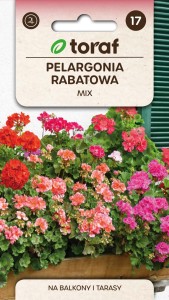 Pelargonia rabatowa mix 0,1g (Pelargonium zonale) 