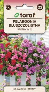 Pelargonia zwisająca bluszczolistna Speedy mix  (Pelargonium peltatum) 10 nasion