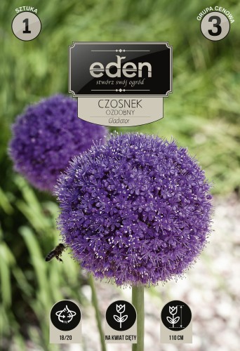 Czosnek Gladiator-VIL-204-18-EDEN-kapers-PSOc3-1.jpg