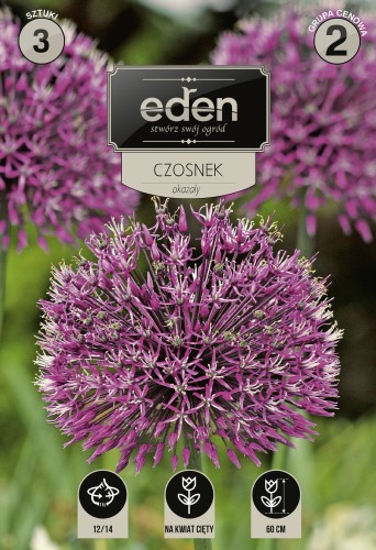 Czosnek okazaly-VIL-91-18-EDEN-kapers-PSOc3-1.jpg