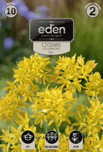 czosnek poludniowy moly-VIL-228-18-EDEN-kapers-PSOc3-1 copy.jpg