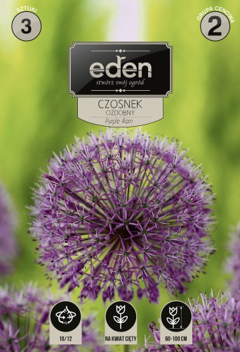 Czosnek purple rain-VIL-215-18-EDEN-kapers-PSOc3-1.jpg