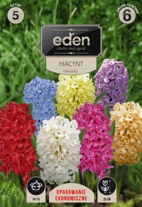 Hiacynt mix 14/15 kapers 5szt (Hyacinthus)