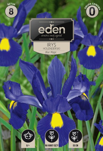 Irys blue magic-VIL-110-EDEN-kapers-1.jpg
