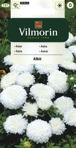 Aster chiński karłowy Albit kremowo-biały 0,5g nasiona (Callistephus chinensis)  