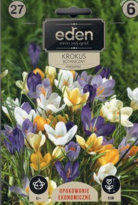 Krokus botaniczny mix 6/+  27szt   kapers  