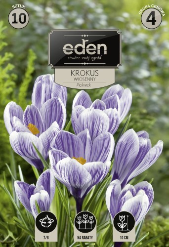 Krokus pickwick-VIL-100a-18-EDEN-kapers-PSOc3-1.jpg