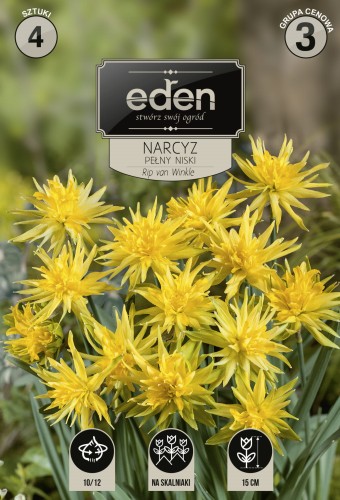 narcyz rip van winkle-VIL-130a-18-EDEN-kapers-PSOc3-1 copy.jpg