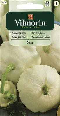 patison Disco Vilmorin Garden.jpg