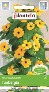 Tunbergia oskrzydlona/żabie oczko 0,5g (Thunbergia alata) 