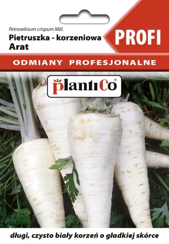 Pietruszka-korzeniowa-Arat.jpg