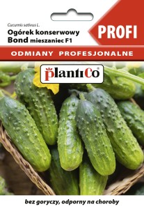 Ogórek konserwowy Bond F1 2g nasiona PROFI