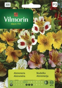 Alstremeria 0,1g mix (Alstremeria aurantiaca) "lilia inków"  nasiona 