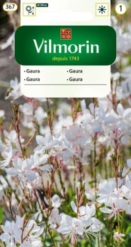 gaura vilmorin.jpg
