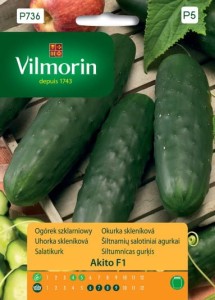 Ogórek szklarniowy Akito F1 F1 10 nasion