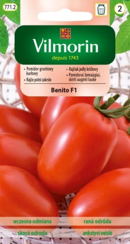 pomidor Benito F1 vilmorin.jpg