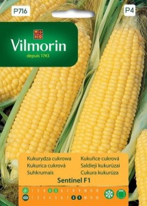 Kukurydza cukrowa Sentinel F1 2,5g odporna na choroby