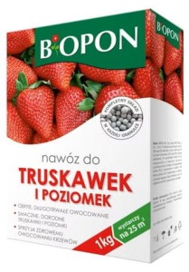 Nawóz do truskawek i poziomek 1kg 
