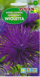 Aster chiński igiełkowy Wioletta 1g nasion