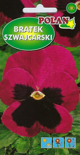 bratek różowy z plamą polan.jpg