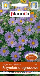 Przymiotno (Erigeron speciosus) 0,2g nasion