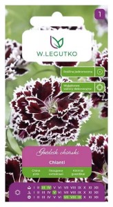 Goździk chiński czarny Chianti (Dianthus chinesis) 0,1g nasion