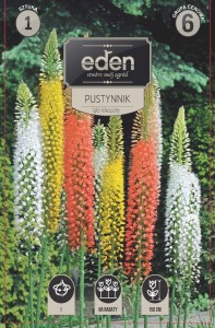 Pustynnik Igła Kleopatry kapers 1szt