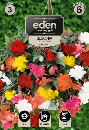 Begonia kaskadowa Mix-VIL--17-EDEN-kapers_Page_1.jpg