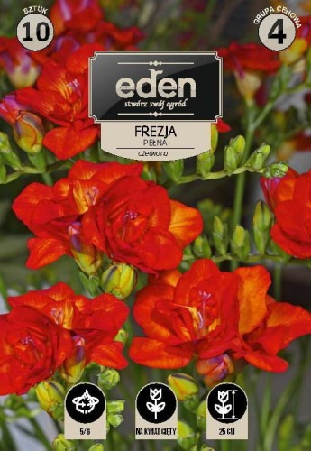 frezja pelna czerwona- kapers  Vilmorin Eden