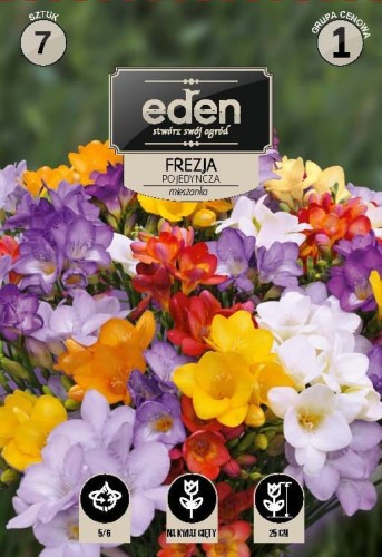 frezja pojedyncza mix- kapers Vilmorin Eden