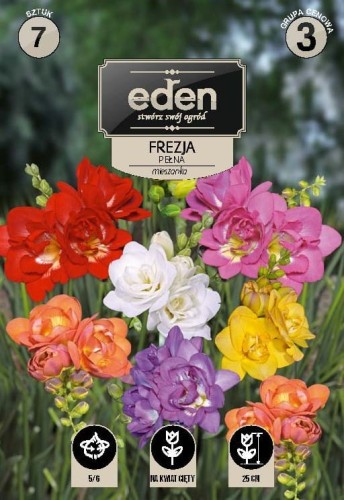 frezja pelna mix-VIL- kapers Vilmorin Eden