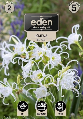 ismena blonczatka-VIL- kapers Vilmorin Eden